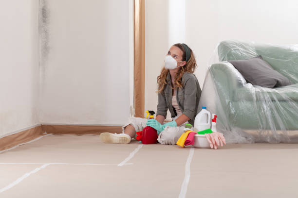 Reliable Mold Remediation contractor in Clementon, NJ by 24 Hour Mold Removal